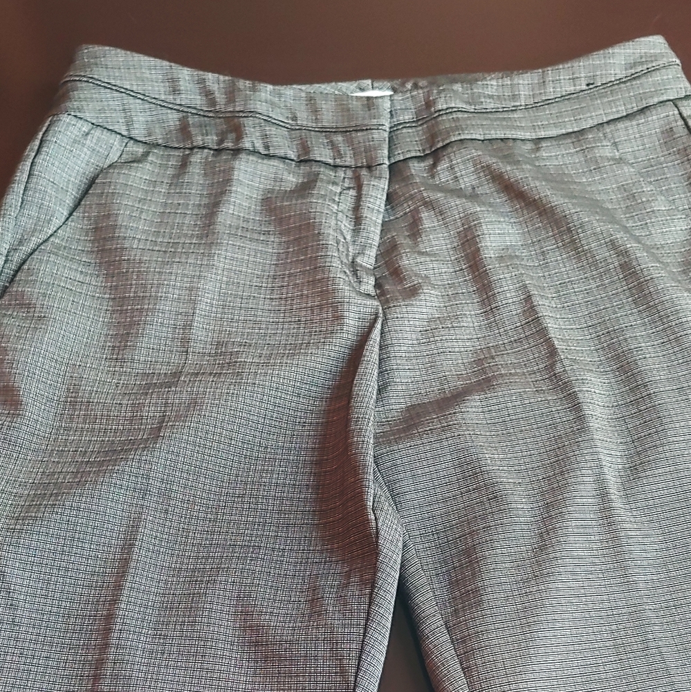 Dress pants